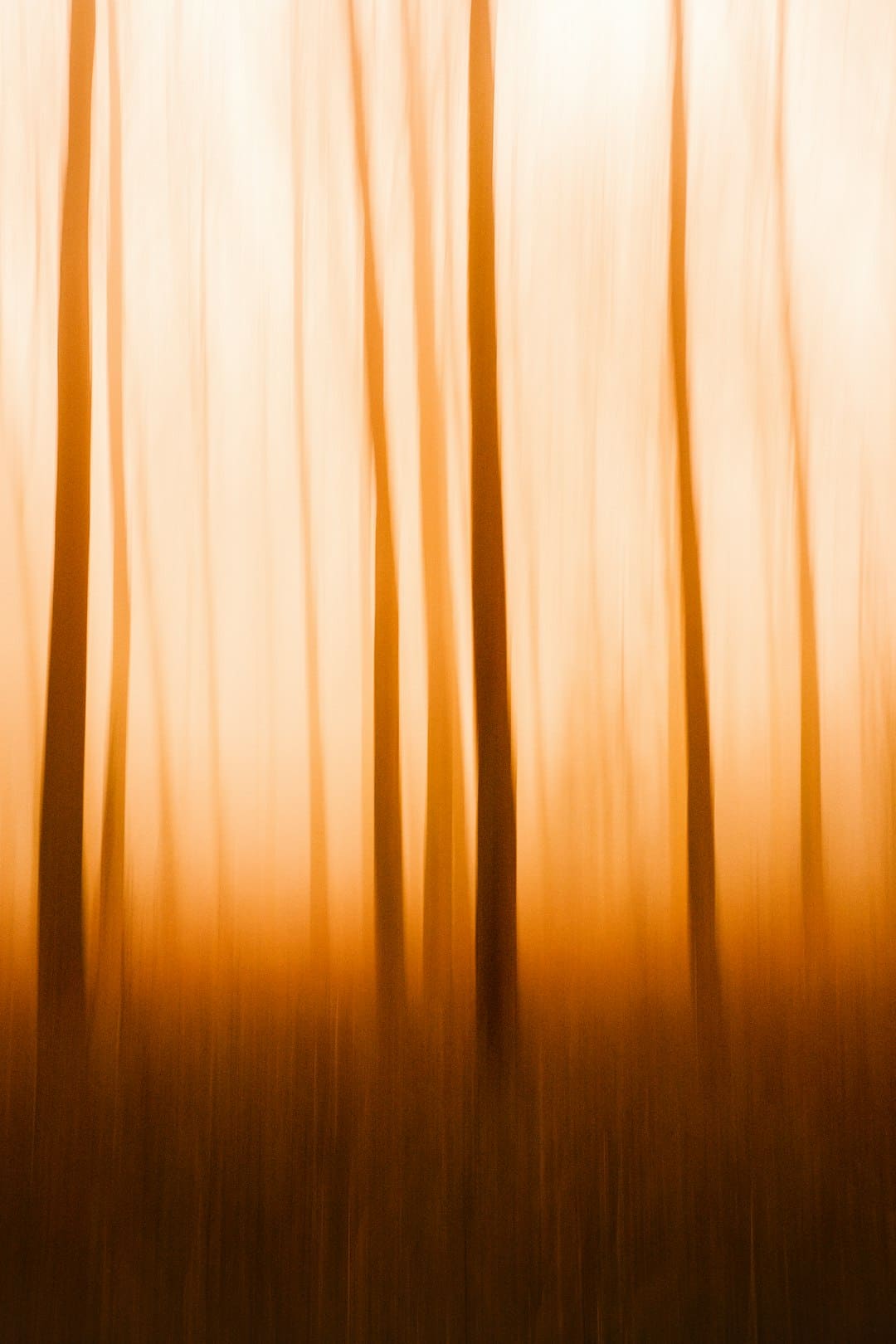 https://img2.utuku.imgcdc.com/473x0/ent/20250905/3f883577-2c1e-4b13-addf-3bcb73ed8d4a.jpg